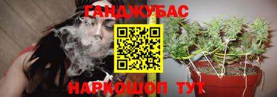 хмурый Заводоуковск